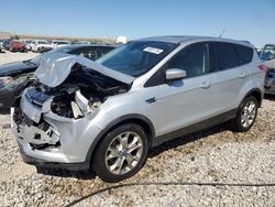 Salvage cars for sale at Magna, UT auction: 2013 Ford Escape SEL