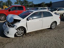 Toyota salvage cars for sale: 2010 Toyota Corolla Base