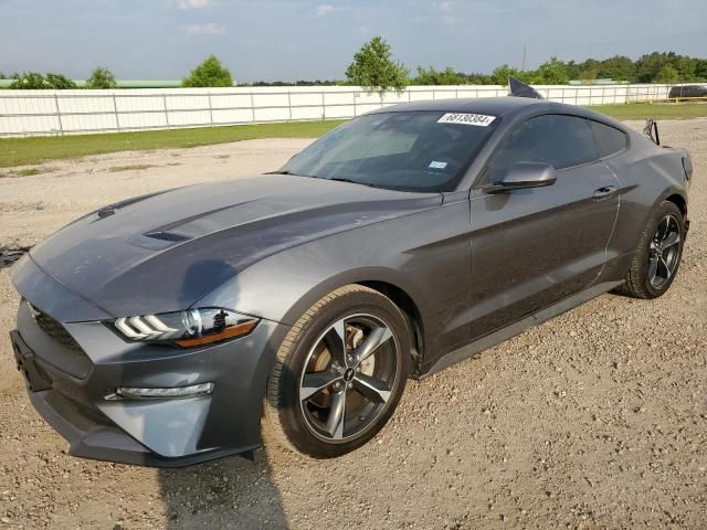 2023 Ford Mustang