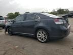 2010 Lexus HS 250H