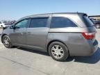 2011 Honda Odyssey EXL