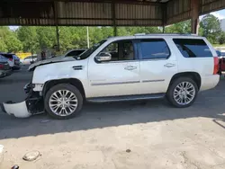 Salvage cars for sale at Gaston, SC auction: 2009 Cadillac Escalade