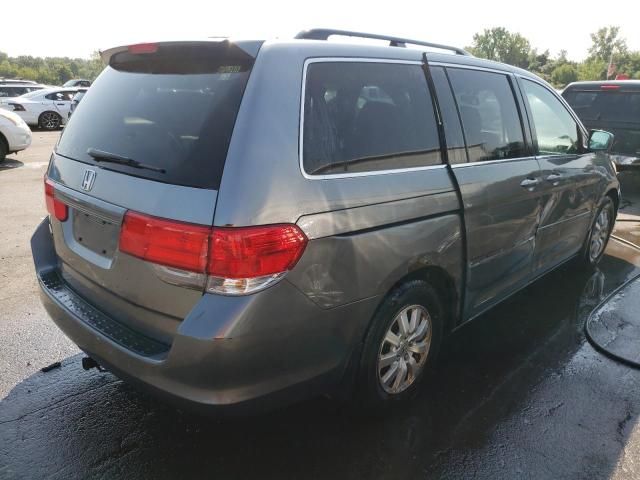 2009 Honda Odyssey EXL