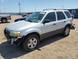 Salvage cars for sale at Greenwood, NE auction: 2007 Ford Escape XLT