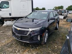 Salvage cars for sale at auction: 2023 Chevrolet Equinox LT