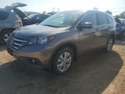 Salvage cars for sale at Elgin, IL auction: 2013 Honda CR-V EX