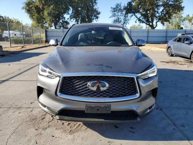 2023 Infiniti QX50 Luxe