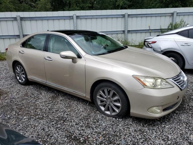 2010 Lexus ES 350