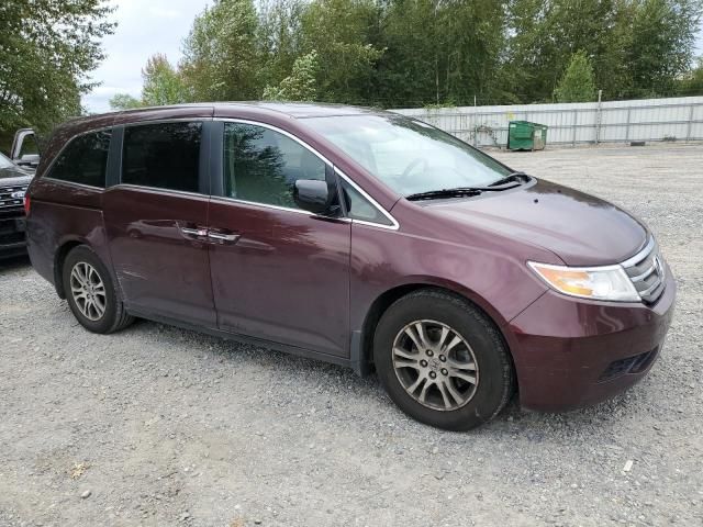 2011 Honda Odyssey EXL