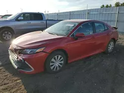 Salvage cars for sale from Copart Greenwood, NE: 2023 Toyota Camry LE