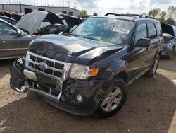 Salvage cars for sale at Elgin, IL auction: 2011 Ford Escape Limited