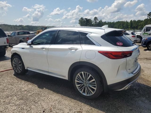 2024 Infiniti QX50 Sensory