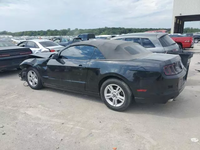 2014 Ford Mustang