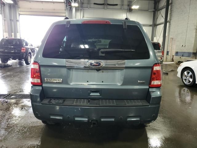 2010 Ford Escape Limited