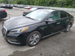 Hyundai Sonata Vehiculos salvage en venta: 2017 Hyundai Sonata PLUG-IN Hybrid