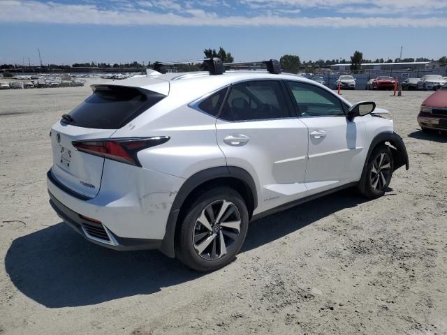 2021 Lexus NX 300H Base