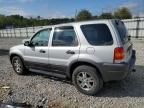 2003 Ford Escape XLT