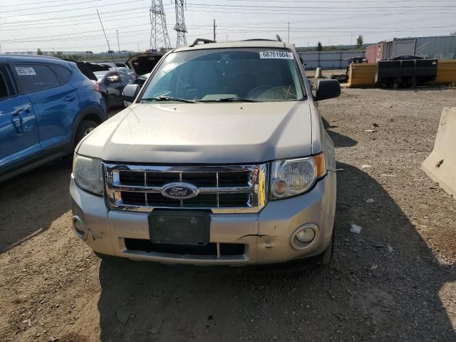 2010 Ford Escape XLT