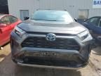 2024 Toyota Rav4 XSE