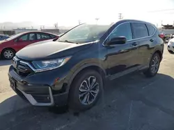 Salvage cars for sale at Sun Valley, CA auction: 2020 Honda CR-V EXL