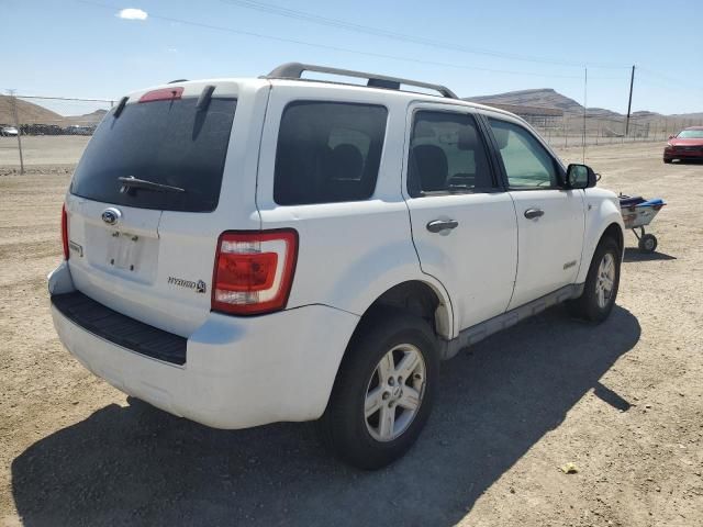 2008 Ford Escape HEV