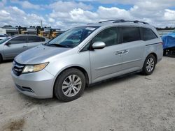 Flood-damaged cars for sale at auction: 2014 Honda Odyssey EXL