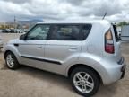 2010 KIA Soul +