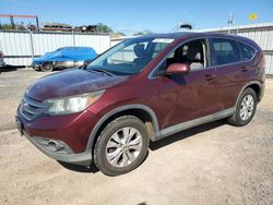 Salvage cars for sale at Kapolei, HI auction: 2012 Honda CR-V EX