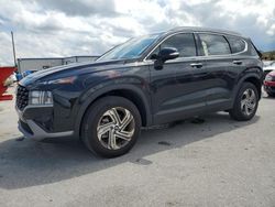 Salvage cars for sale at Orlando, FL auction: 2023 Hyundai Santa FE SEL