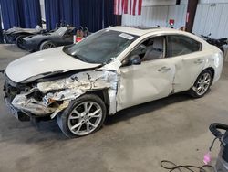 Salvage cars for sale at Byron, GA auction: 2014 Nissan Maxima S