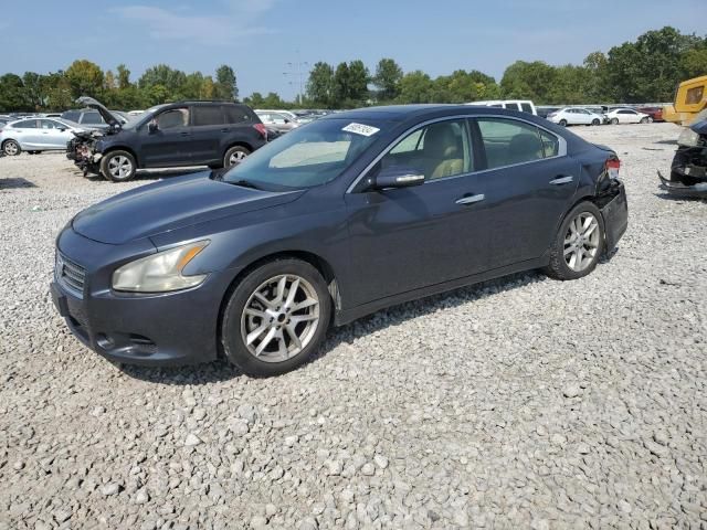 2009 Nissan Maxima S