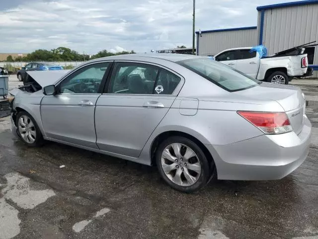 2010 Honda Accord EX