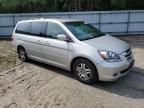 2005 Honda Odyssey EX