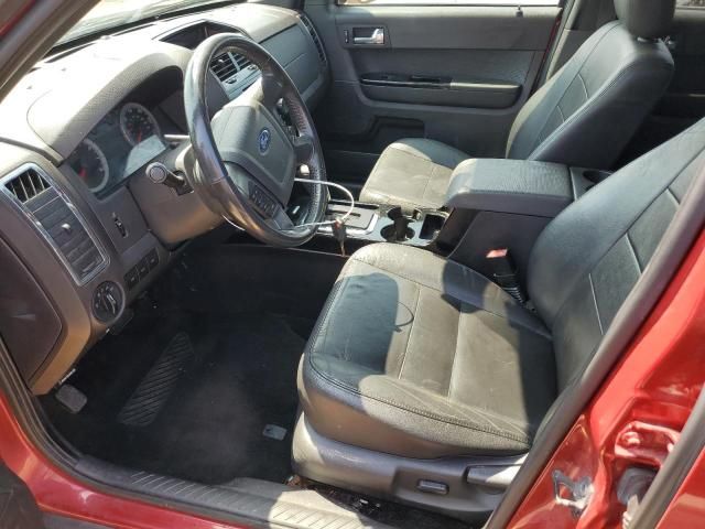 2010 Ford Escape Limited