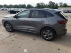 2024 Ford Escape ST Line