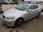 2008 Lexus IS 250