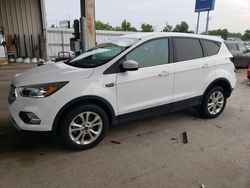 Ford salvage cars for sale: 2019 Ford Escape SE