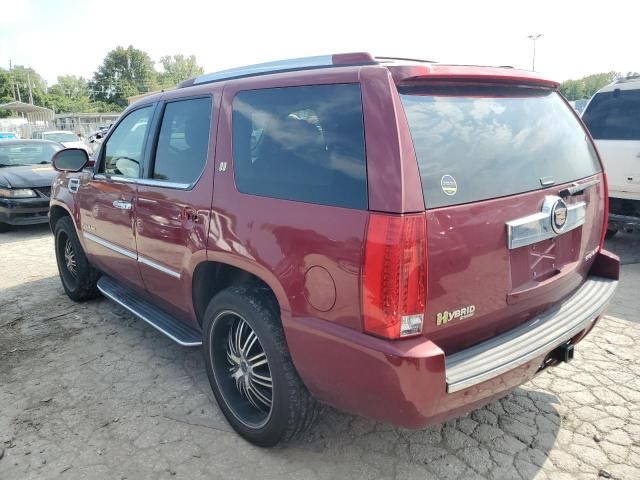 2009 Cadillac Escalade Hybrid