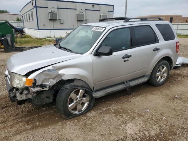 2011 Ford Escape XLT