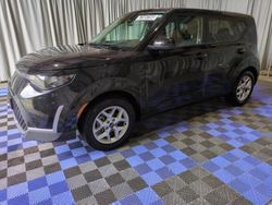 Salvage cars for sale at Graham, WA auction: 2024 KIA Soul LX