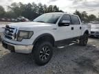 2009 Ford F150 Supercrew