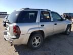 2007 Chevrolet Trailblazer LS