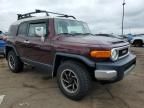 2007 Toyota FJ Cruiser