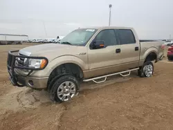 Salvage trucks for sale at Amarillo, TX auction: 2011 Ford F150 Supercrew