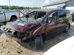 Salvage cars for sale at Louisville, KY auction: 2012 Honda Odyssey EX