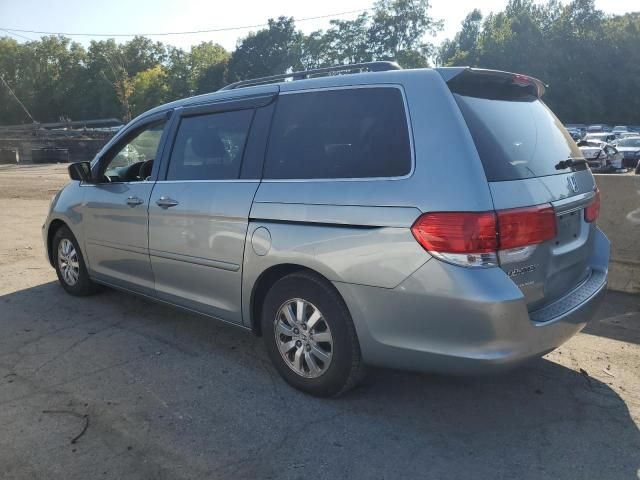 2010 Honda Odyssey EXL