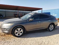 Salvage cars for sale from Copart Andrews, TX: 2010 Honda Accord Crosstour EXL