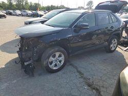 Salvage cars for sale at Bridgeton, MO auction: 2020 Toyota Rav4 XLE