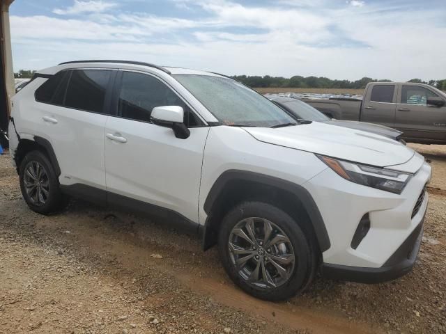 2024 Toyota Rav4 XLE Premium