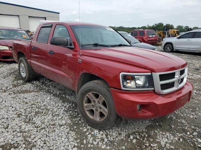 2010 Dodge Dakota SXT